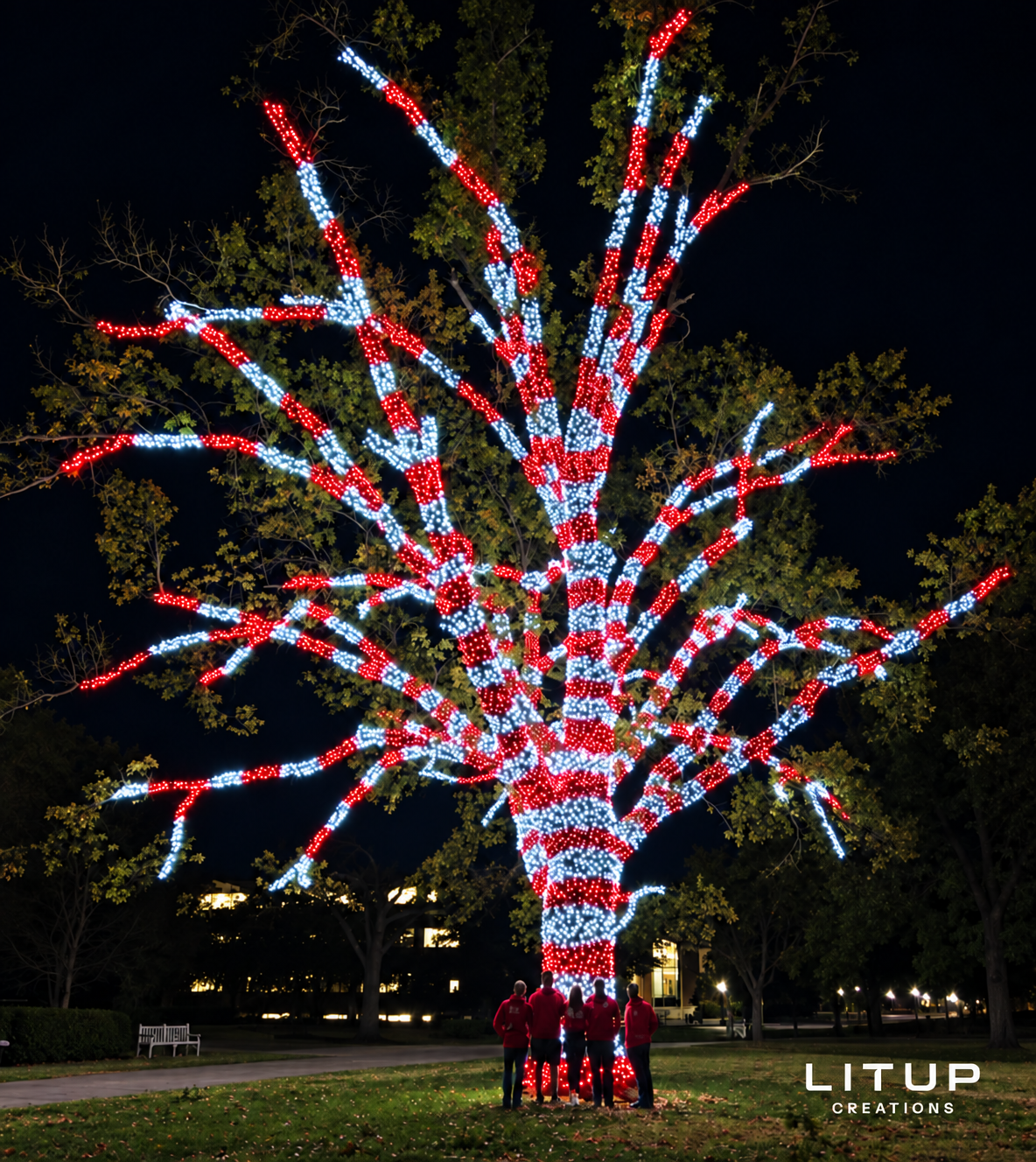 A large outdoor tree professionally wrapped in commercial-grade holiday lights, creating a warm and festive Christmas display.